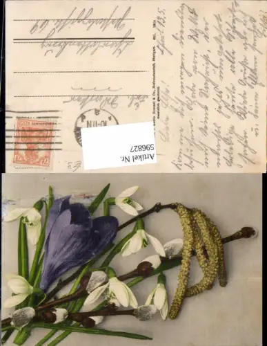 596827,Schneeglöckchen Palmkätzchenzweig Krokus Blumen