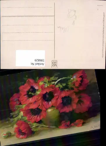 596829,Künstler Ak W. Schütze Mohn Klatschmohn Mohnblumen Vase Blumen pub Meissner Buch 2330