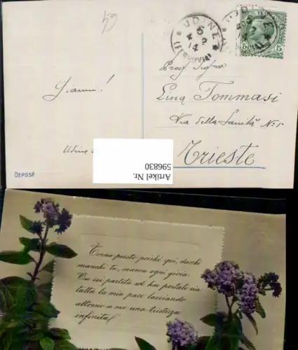 596830,Katzenminze Blaue Blumen Blüten Blumen Text