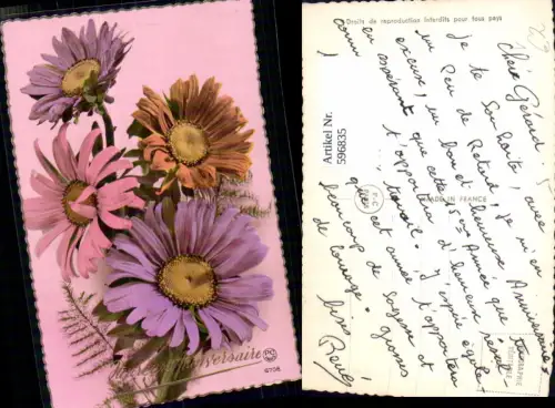596835,Foto Ak Margeriten Bunt Blumen pub PC Paris 6708