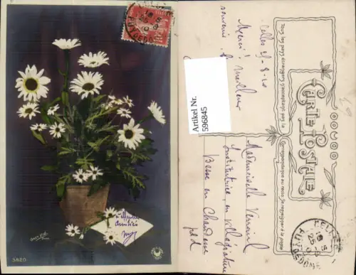 596845,Topf Blumentopf m. Margeriten Blumen