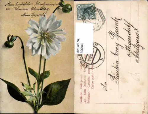 596846,Weiße Aster Chrysantheme Blumen