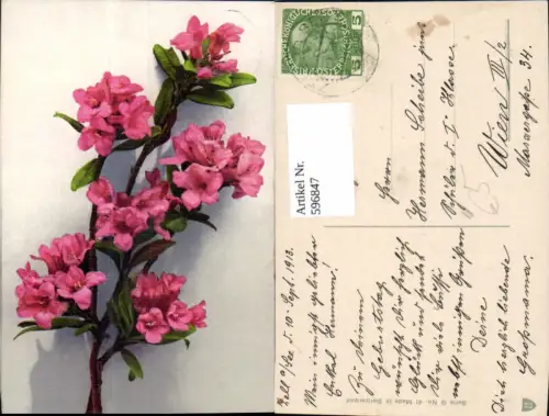 596847,Blütenzweig Alpenrose oder Azalee Blumen