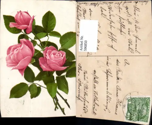 596850,Rosa Rosen Blüten Knospen Blumen