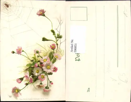 596851,Gänseblümchen m. Spinne Spinnennetz Netz Tiere Blumen pub Edgar Schmidt 7012