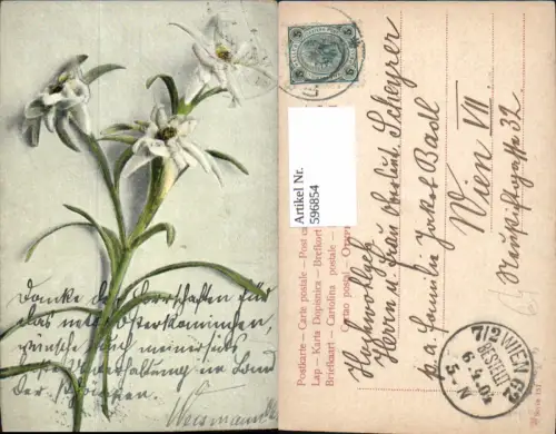 596854,Edelweiß Alpenflora Blumen