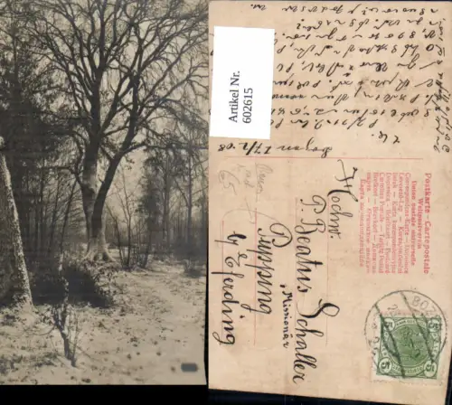 602615,Baum Bäume Wald Winteransicht Ak nach Missinoär Schaller Pupping Eferding