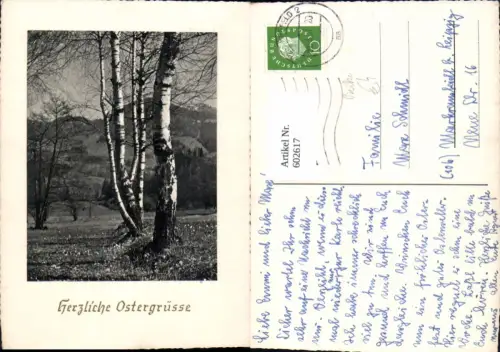 602617,Birke Birken Baum Ostern Passepartout