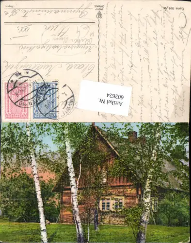602624,Birke Birken Bäume v. Holzhaus Haus