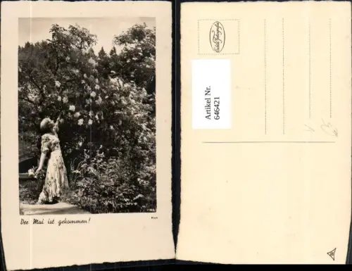 646421,Foto Ak Rieh Frau m. Hollerblüten Holunderblüten Strauch pub Photochemie Berlin