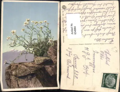 654984,Edelweiß Alpenflora Blumen Vegetation