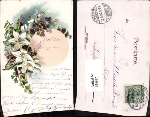 654992,Litho Weiße Blumen Vegetation Pfingsten