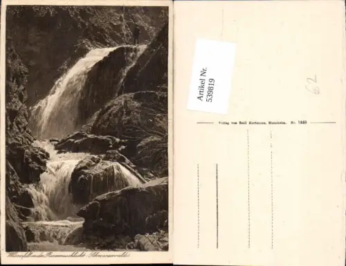 539819,Wasserfall Ravennaschlucht Schwarzwald Breitnau