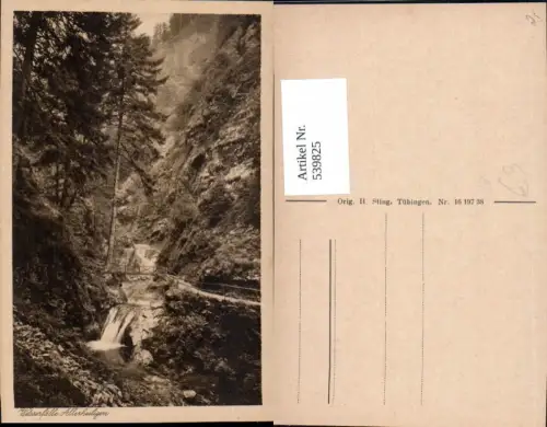 539825,Allerheiligen Wasserfall Wasserfälle Oppenau
