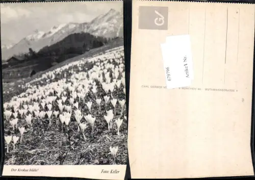 679796 Walter Niessen Verlag Baierbach Simmsee
