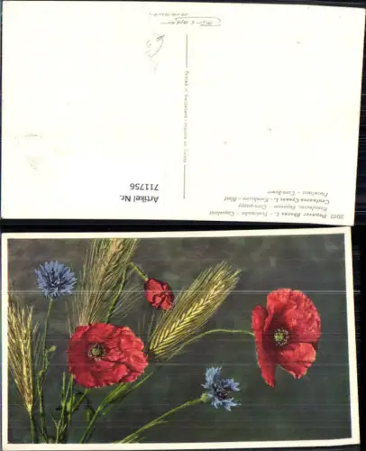711756 Künstler AK Feuermohn Kornblume Blumen Flora Fauna Getreideähren