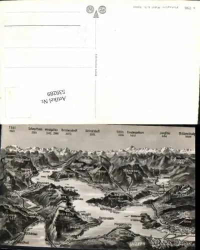 539289,Landkarten AK Luzern Walchwil St. Adrian Steinen Hertenstein Meggen Treib Kriens