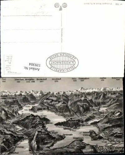 539304,Landkarten AK Vogelschau Luzern gersau brunnen Treib meggen seeburg