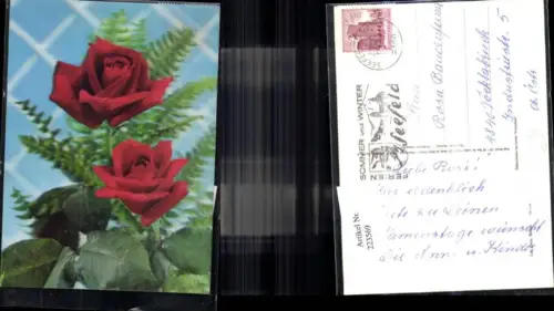 223569,3D 3 D 3-D Karte Ak Rosen Blumen Rote Rosen Farn Blatt Les Deux Roses