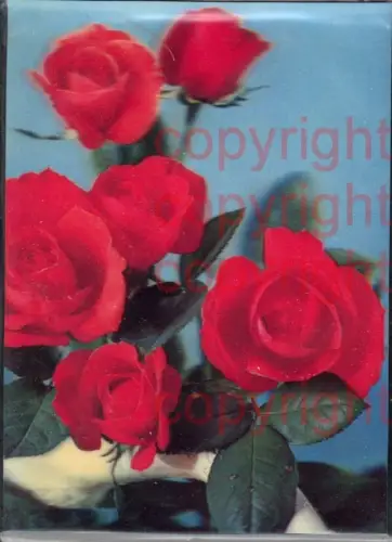 465870,3D 3 D 3-D Karten Rote Rosen Blumen Blüten