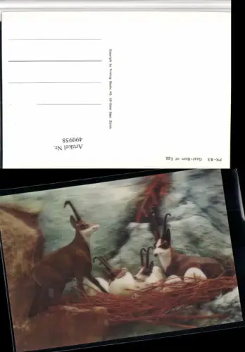 490958,3D 3 D 3-D Karte Wackelkarte Goat Born of Egg Gämse Nest Eier