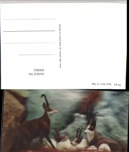 490961,3D 3 D 3-D Karte Wackelkarte Goat Born of Egg Gämse Nest Eier