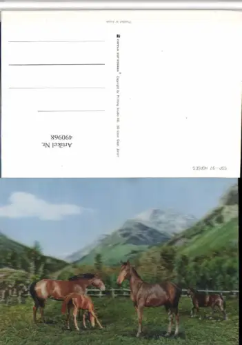 490968,3D 3 D 3-D Karte Wackelkarte Horses Pferde Bergkulisse