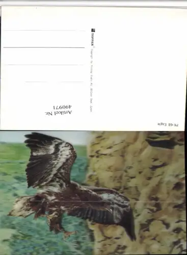 490971,3D 3 D 3-D Karte Wackelkarte Eagle Adler Greifvogel
