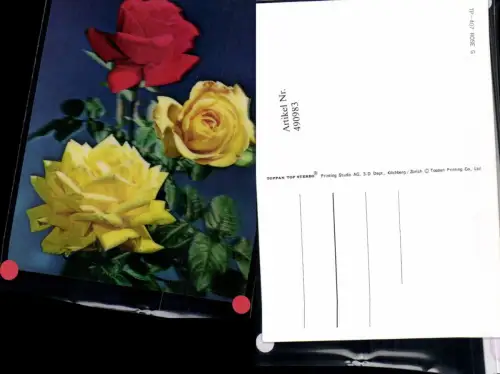 490983,3D 3 D 3-D Karte Wackelkarte Rose Gelbe Rote Rosen