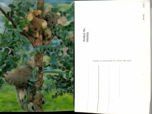 490988,3D 3 D 3-D Karte Wackelkarte Bear Koala Tiere Baum