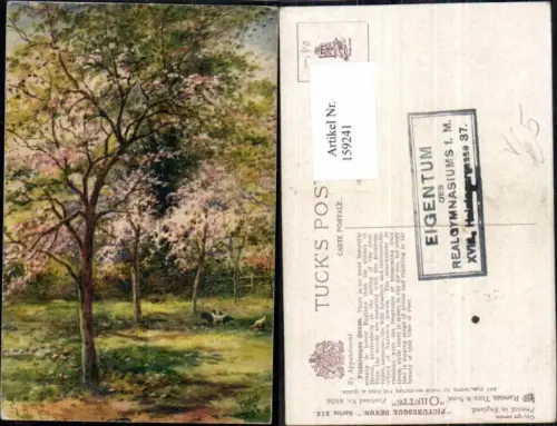 159241,Ölgemälde Imitationskarte R. Tuck 8936 Devon