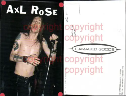 466925,Guns n Roses Musiker Sänger Axl Rose Tattoos Mikrofon