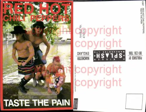 474321,Musiker Band Red Hot Chili Peppers Taste the Pain