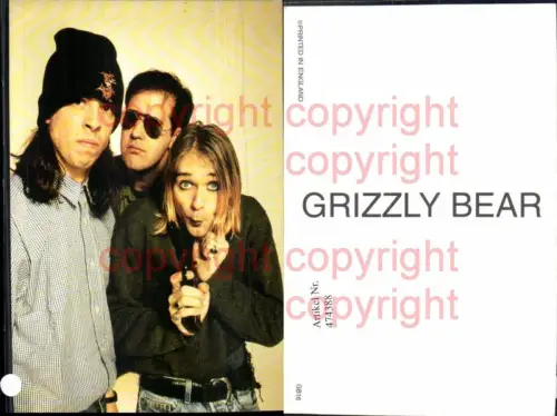 474388,Musiker Band Grizzly Bear