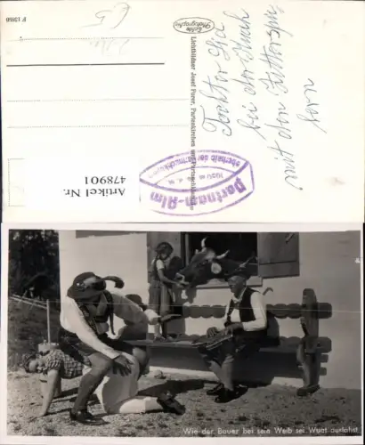 478901,Foto Ak Musikinstrument Zither Bauern v. Haus Kühe Tracht