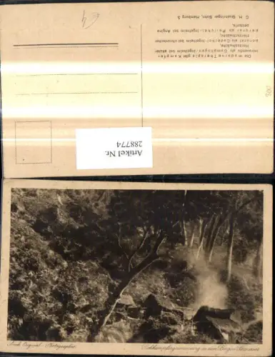 288774,Bergbau Rohkampfergewinnung i. d. Bergen Formosas