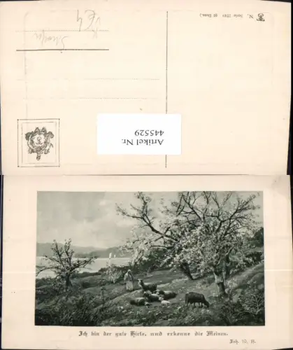 445529,Künstler Ak Frau als Hirte Schäfer Schafe Landschaft Spruch pub Theo Stroefer 1249
