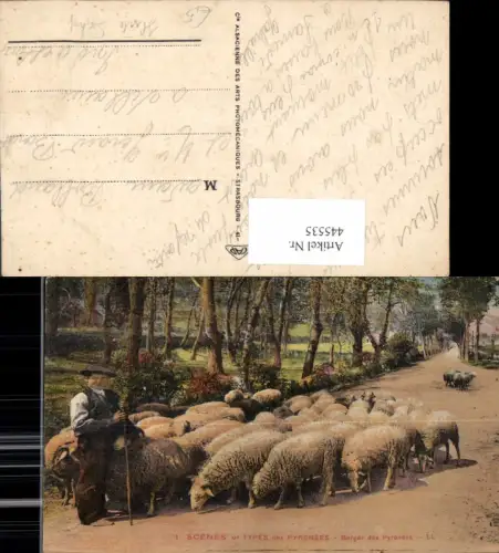 445535,Scenes et Types des Pyrenees Berger des Pyrenees Hirte Schäfer Schafe