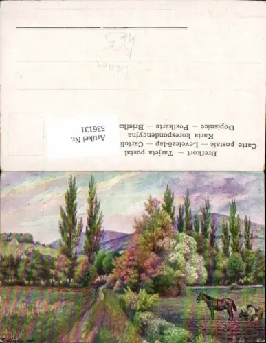 536131,Künstler AK F. Napoli Landwirtschaft Bauern Pferd Pflug pflügen