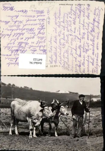 647122,Foto Ak Biarritz Attelage basque Bauer m. Kühe Rinder Landwirtschaft Berufe
