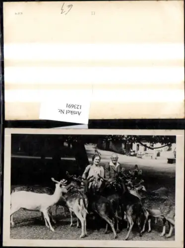 123691,Foto Ak Paar m. Wild Rehe Rotwild Jagd