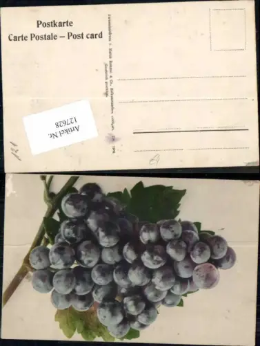 127628,Stilleben Früchte Obst Trauben Weintrauben pub Rommel
