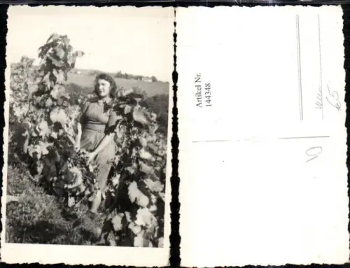 144348,Foto Ak Frau Weinreben Weinstock Wein