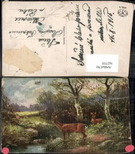 162755,Künstler AK Jagd Reh im Wald Wild