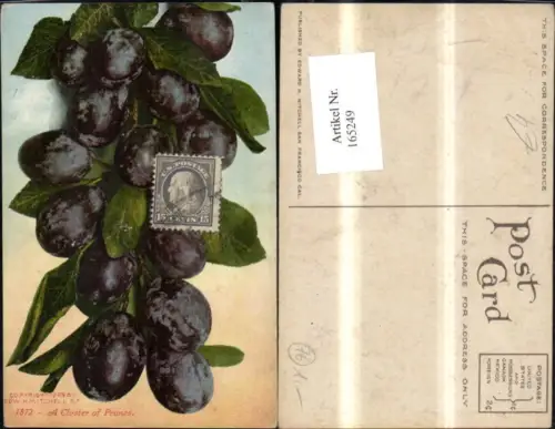 165249,Obst Früchte Zwetschge Pflaume A Cluster of Prunes