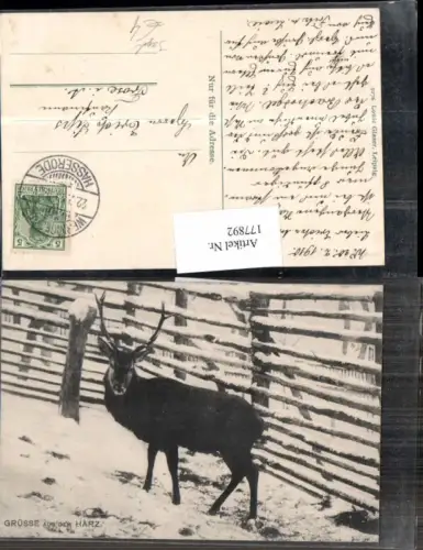 177892,Jagd Grüsse aus dem Harz Wild Hirsch