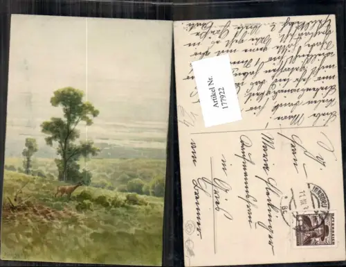 177922,Künstler AK Jagd Reh Wild Wiese pub Dondorf 884
