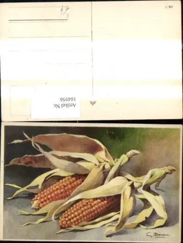 184956,Künstler Ak S. Bonelli Stillleben Mais Maiskolben m. Blätter Schale
