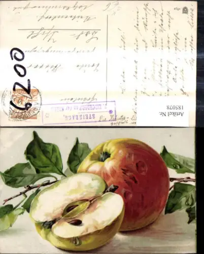 185078,Künstler Ak Stillleben Apfel Zweig Äpfel halbiert Kern Stempel Steinbach Post Kirchdorf a. d. Krems