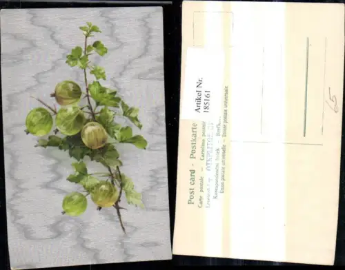 185161,Essen Stachelbeeren Früchte Obst